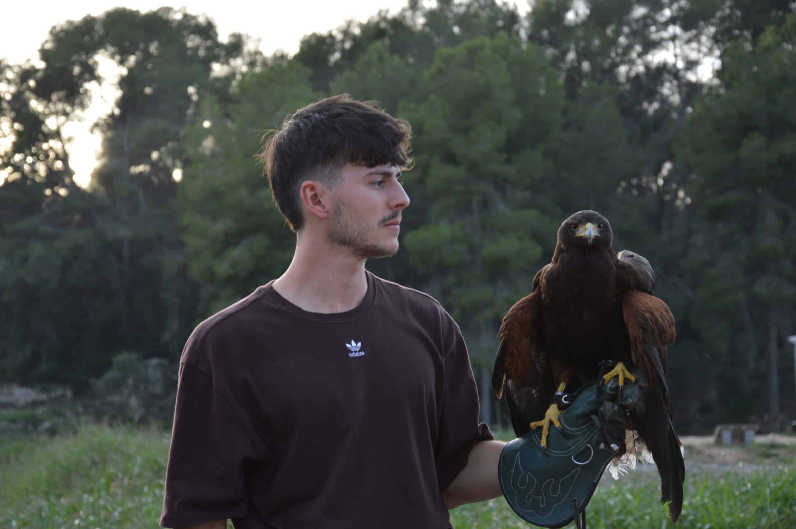 Barreras disuasorias para aves