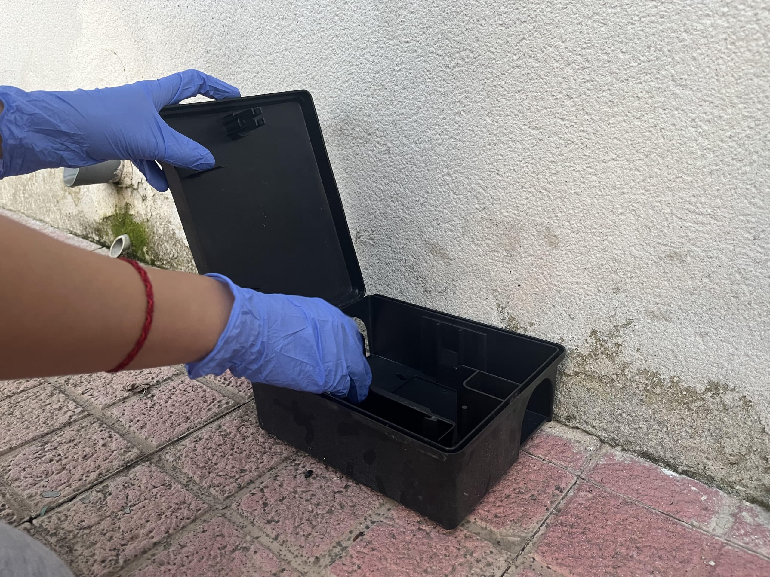 Soluciones sostenibles para plagas